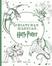 Livro - O livro de colorir das criaturas mágicas de Harry Potter - Pocket