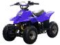 Quadriciclo Bull Motors  BK ATV504 - à Gasolina à Óleo 50cc Azul