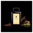 The Golden Secret Banderas - Perfume Masculino - Eau de Toilette