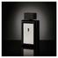 The Secret Banderas - Perfume Masculino - Eau de Toilette