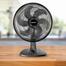 Ventilador de Mesa Mallory TS40+ Preto  220 Volts