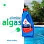 Imagem de 02 Algicida Choque 1lt + 02 Maxfloc HTH