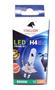 Imagem de 1 Lampada Moto H4 Super Led  Efeito Xenon 8000k Cg Ybr Cb - STALLION