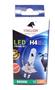 Imagem de 1 Lampada Moto H4 Super Led  Efeito Xenon 8000k Cg Ybr Cb - STALLION - Honda