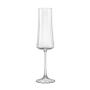 Imagem de 1 Taça De Cristal Para Champagne 210 Ml Linha Xtra Bohemia