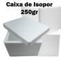 Imagem de 10 caixinha de isopor 250gr ideal para sorvete, viagem congelados