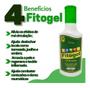 Imagem de 10 Gel Nocauteador + Gel Massageador Fitogel