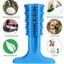 Imagem de 10 Mordedor Escova De Dentes Brinquedo Pet Dental Cachorro