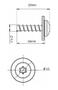 Imagem de 10 Parafuso Automotivo Universal Torx 5,1x16mm Ford Volks