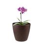 Imagem de 10 un Vaso plantas colmeia decorativo flor G MARROM ESCURO