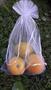 Imagem de 100 PÇS Sacos Para Proteção Frutas No Pe Lavável  20x30 cm