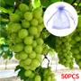 Imagem de 100 Saquinhos protege fruta no pé Lavavel Ideal para uva (17x23 cm)