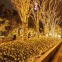 Imagem de 10m Ao Ar Livre Led Luzes Da Corda Plugue Da Ue Lâmpada De Fadas De Natal Para Casa Festa De