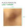 Imagem de 10X Placa Fenolite 15x15 Virgem (kit com 10 placas)