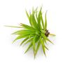 Imagem de 12 Folhagem Artificial de Suculenta Capim Planta Artificial que Combina com Qualquer Estilo - DE8864