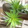 Imagem de 12 Folhagem Artificial de Suculenta Capim Planta Artificial que Combina com Qualquer Estilo - DE8864