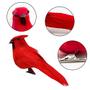 Imagem de 12 pcs artificial vermelho cardinal pássaros com clip-5.0 polegadas de Natal Cardinal Birds clipe para decorações de enfeites de árvore de Natal, artes e ofícios (barata preta)