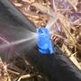 Imagem de 150 Microaspersor Spray Jet Azul Vazão 20L/H Implebrás 360º 