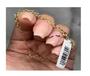 Imagem de 1739602 Pulseira Elo Português Ouro 18 Com Pingente Berloque Coração 18,5cm