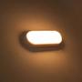 Imagem de 2 Arandela Luminaria Tartaruga Led 8w Luz Branca C/ Garantia