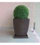 Imagem de 2 Bolas Buchinho Artificial Com 30 Cm Plantas Artificiais Decorações Impecáveis Muito Realista  