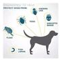Imagem de 2 Coleiras anti pulgas carrapatos Mosquitos Leishmaniose Calazar Gato Cachorro 38 Cm