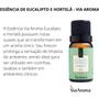 Imagem de 2 Essencias Via Aroma Para Aromatizador Difusor Elétrico Bamboo e Eucalipto e Hortelã 10 Ml