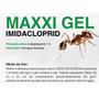 Imagem de 2 Maxxi Gel Mata Formigas Doceiras (seringa 10g)