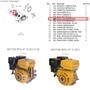 Imagem de 2 Molas do Cachorrete do Motor 8.0/13.0/15.0cv Buffalo - 657