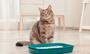 Imagem de 2 Pacotes Areia para Gato Sanitária Prático Granulado Pedrinha  7,2 kg Catmais