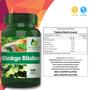 Imagem de 2 Potes Ginkgo Biloba Kit 240 Cáps - Fonte Verde