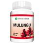 Imagem de 2 Potes Mulungu 500mg 100% Natural - Kit 240 Cáps