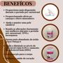 Imagem de 2 Suplemento Alimentar Biocêutica Óleo de Prímula e Óleo de Semente de Borragem Pote 60 Cápsulas