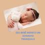 Imagem de 2 Travesseiros Bebe Infantil Antirefluxo Hipoalergênico