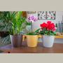 Imagem de 2 un Vaso plantas colmeia decorativo flores G CINZA