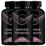 Imagem de 2 Valeriana Composta 500mg 120 Cápsulas - Melissa, Passiflora e Mulungu- Ethos Nutrition