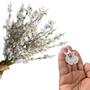 Imagem de 20 Galhos de orquídea artificial chuva de ouro enfeite para sala e quartos - DE8855