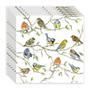 Imagem de 20 Guardanapos Para Decoupage Ambiente Birds Meeting