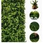 Imagem de 20 Placas Samambaia Cheia 60x40 Jardim Vertical Artificial