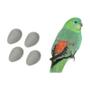 Imagem de 20 x Ovos Indez Branco - Para Red Rumped e Rosela - N6 - Unidade - Animalplast