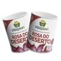 Imagem de 2X Fertilizante Pastilha para Rosa do Deserto (50g) VITAPLAN