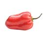 Imagem de 2X Sementes de Pimenta Habanero (Red) TOPSEED