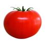 Imagem de 2X Sementes de Tomate Tropic Especial para Salada TOPSEED