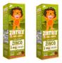 Imagem de 2x Zintrix Zinco Em Gotas Baby & Kids 2mg Por Gota 20ml