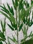 Imagem de 3 Bambuzinho / Bambu 1,05 Haste Planta Artificial