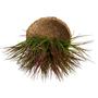 3 Buquês de capim folhagem artificial 39cm planta artificial para decoração enfeites e arranjos - DE27065 - Decora Flores Artificiais Imagem de 3 Buquês de capim folhagem artificial 39cm planta artificial para decoração enfeites e arranjos - DE27065