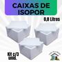 Imagem de 3 Caixas de Isopor EPS 0,8 litros para sorvetes e medicamentos