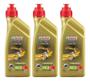 Imagem de 3 Castrol Power 1 Racing Anp 19583 10w40 4t