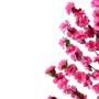 Imagem de 3 Galhos de flores artificiais cerejeira premium para criar árvores