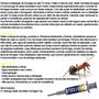 Imagem de 3 Gel Mata Formigas Doceiras Indoxacarbe Straik Isca Atrativa Seringa 10g Dexter